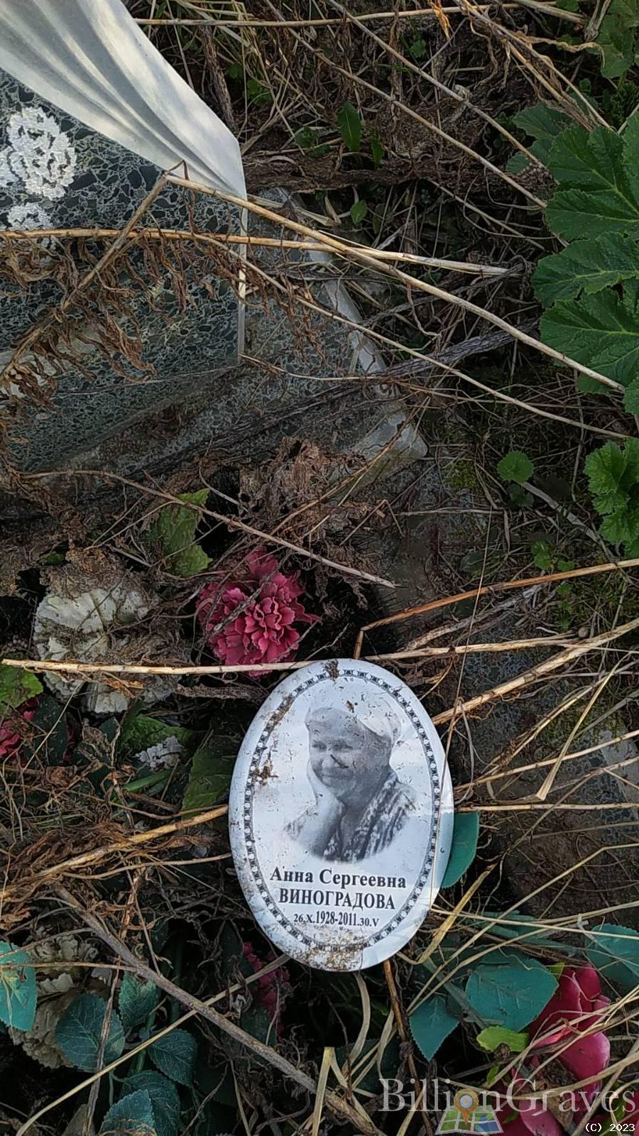 Виноградова Анна Сергеевна