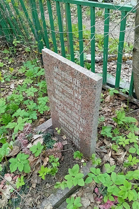Морозова П. П.