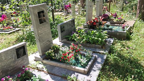 Писегова Елизавета Дмитриевна