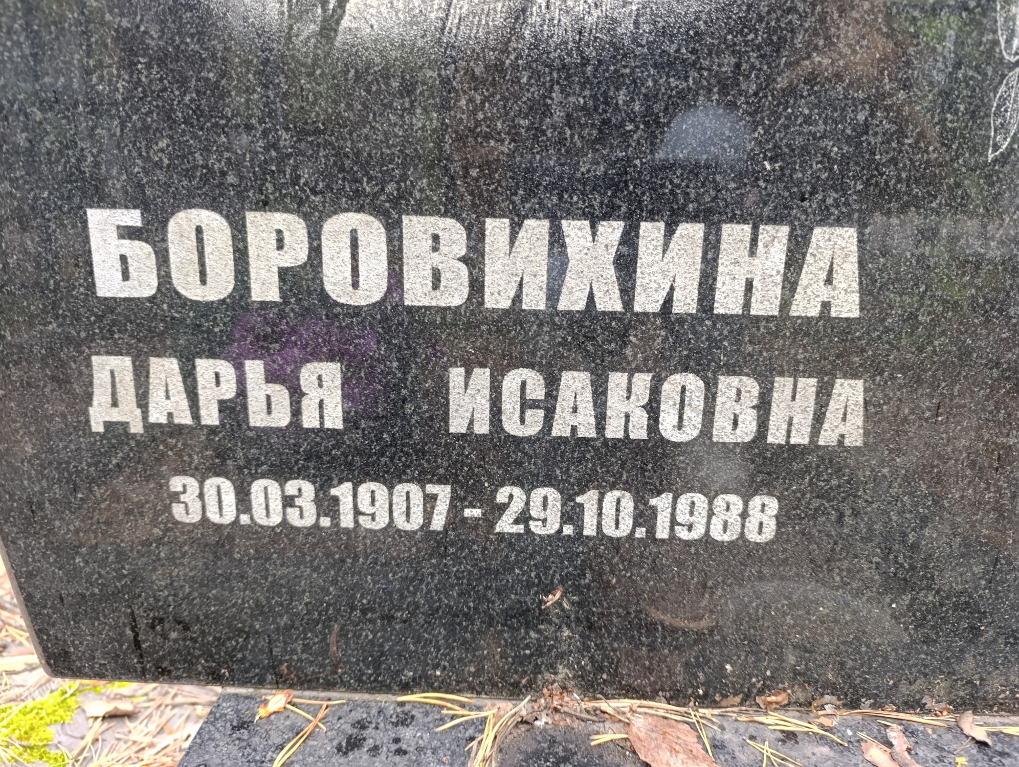 Боровихина Дарья Исаковна