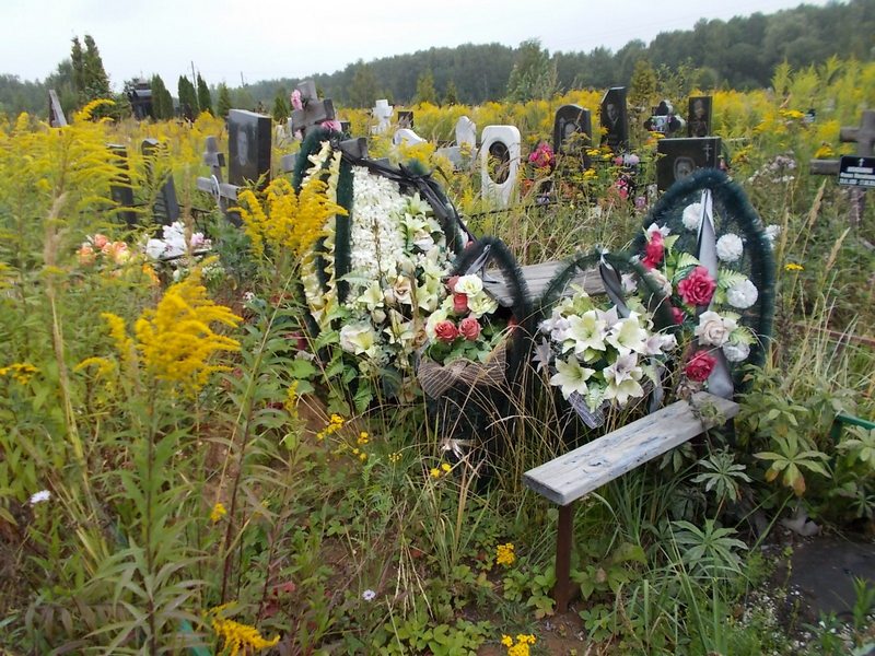 Зевакина Жанэта Михайловна