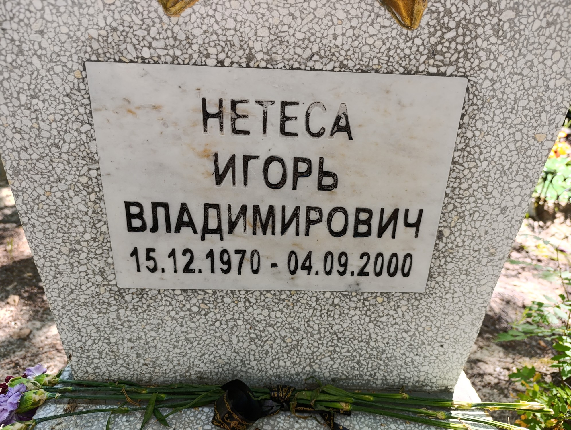 Нетеса Игорь Владимирович