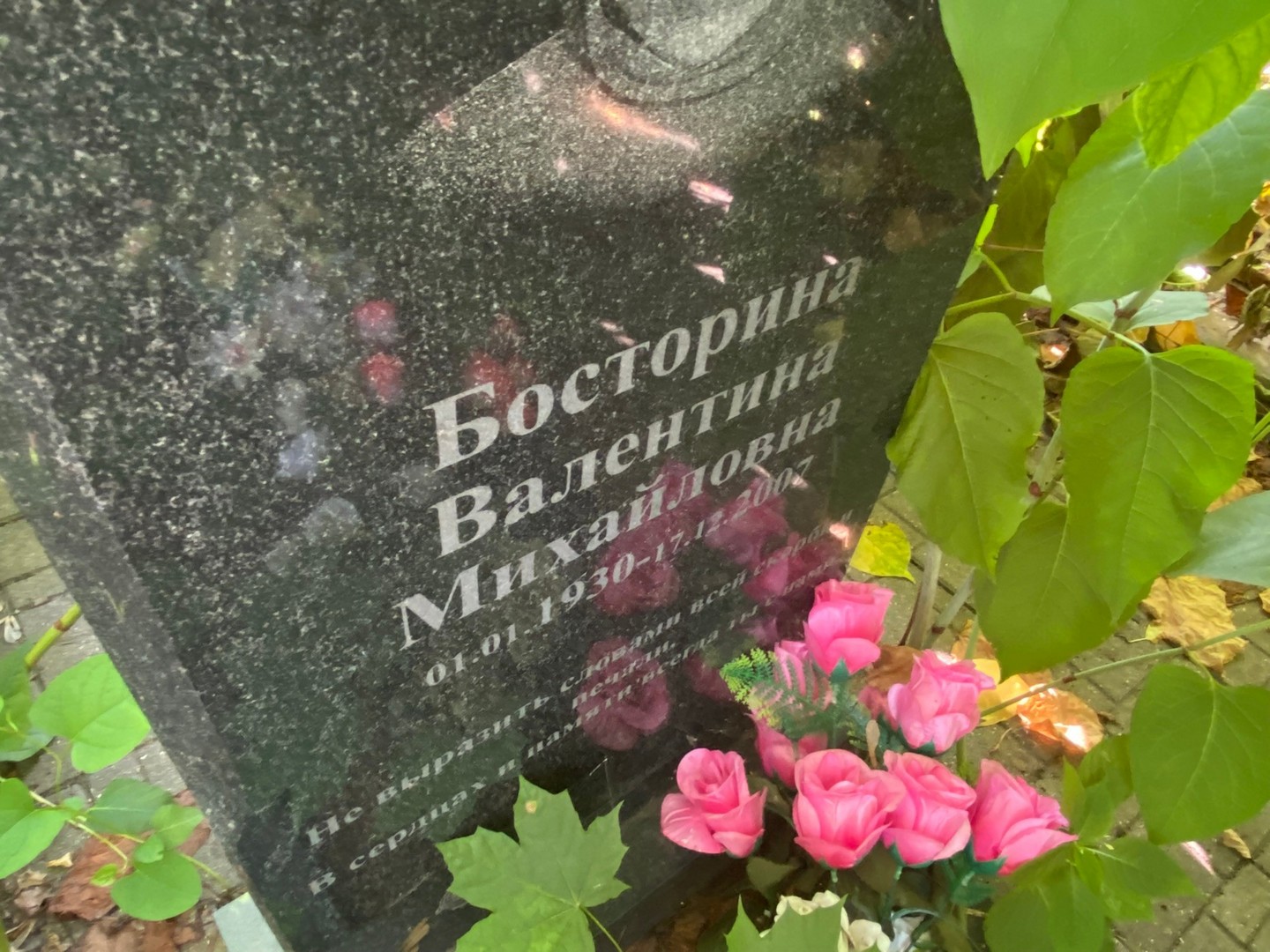 Босторина