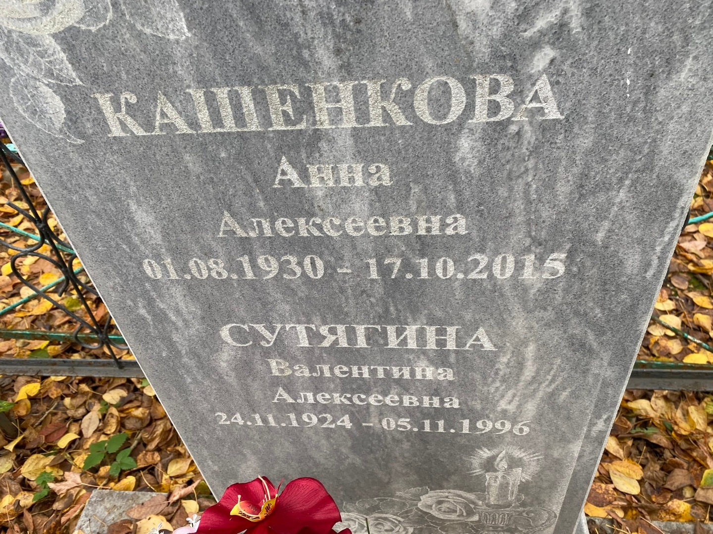 Кашенкова