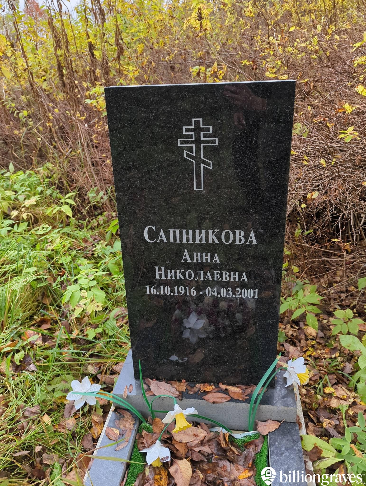 Сапникова Анна Николаевна