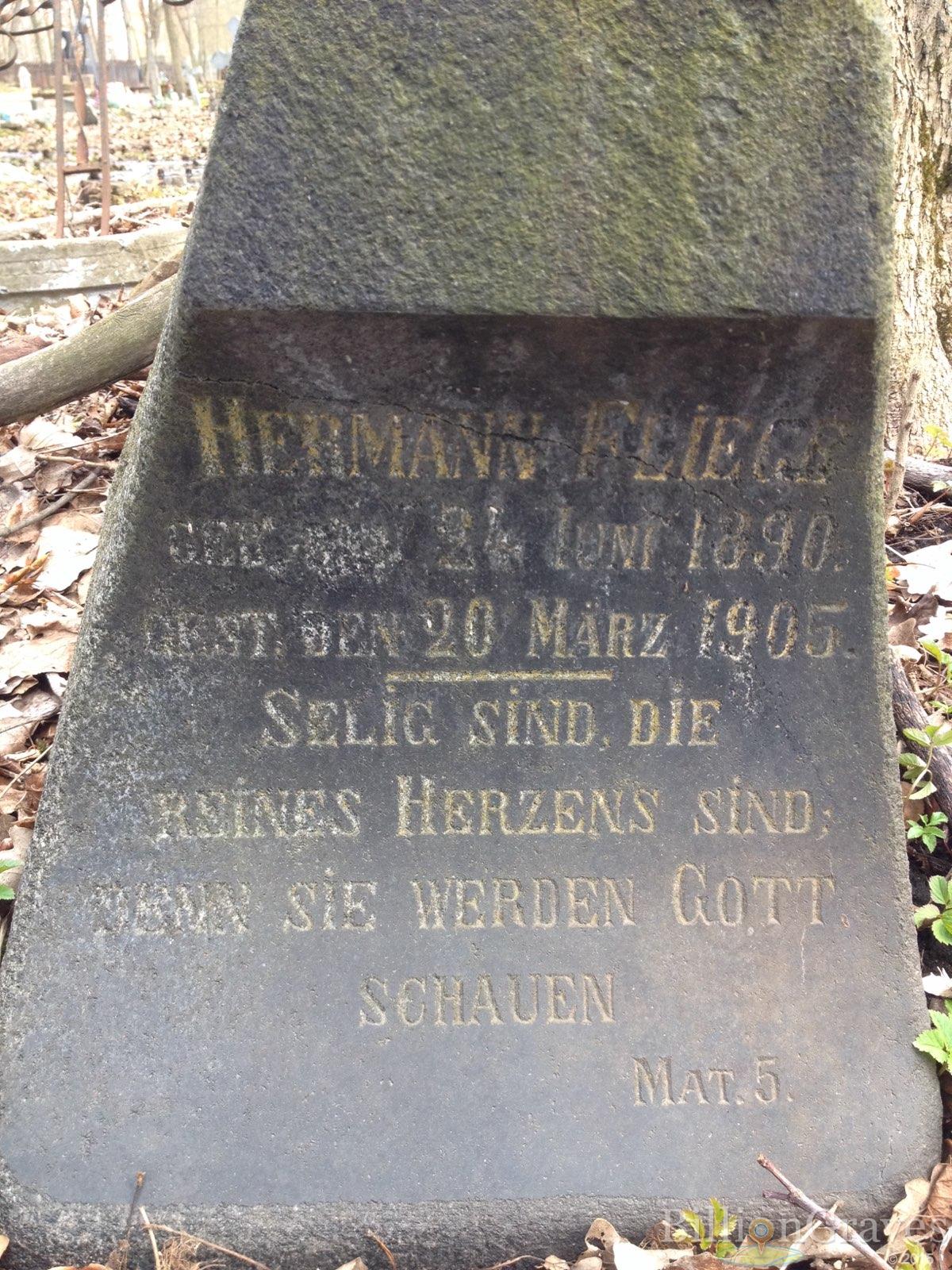 Fliege Hermann