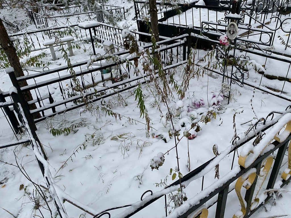 Жукова Агнея Владимировна