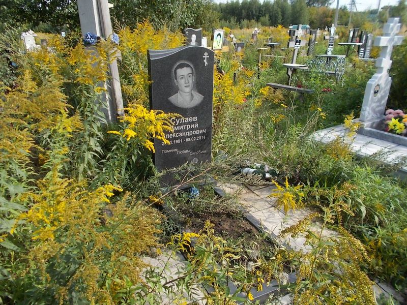 Сулаев Дмитрий Александрович