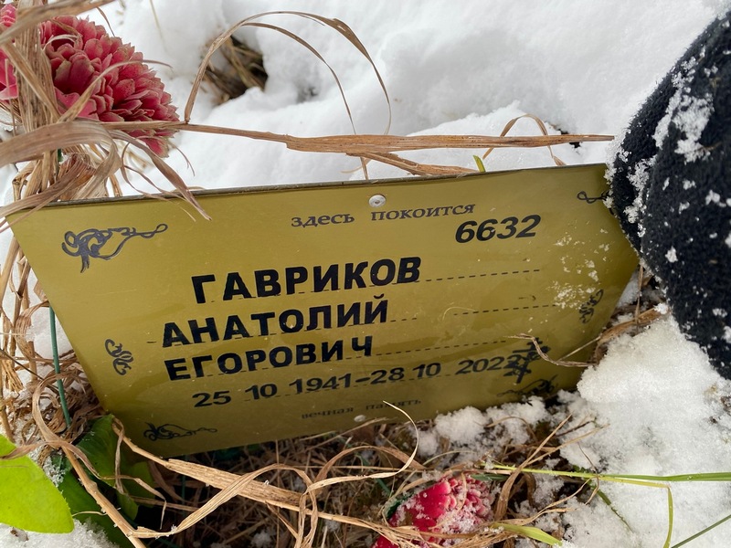 Гавриков