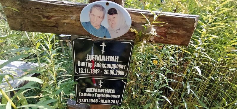Деманин Виктор Александрович