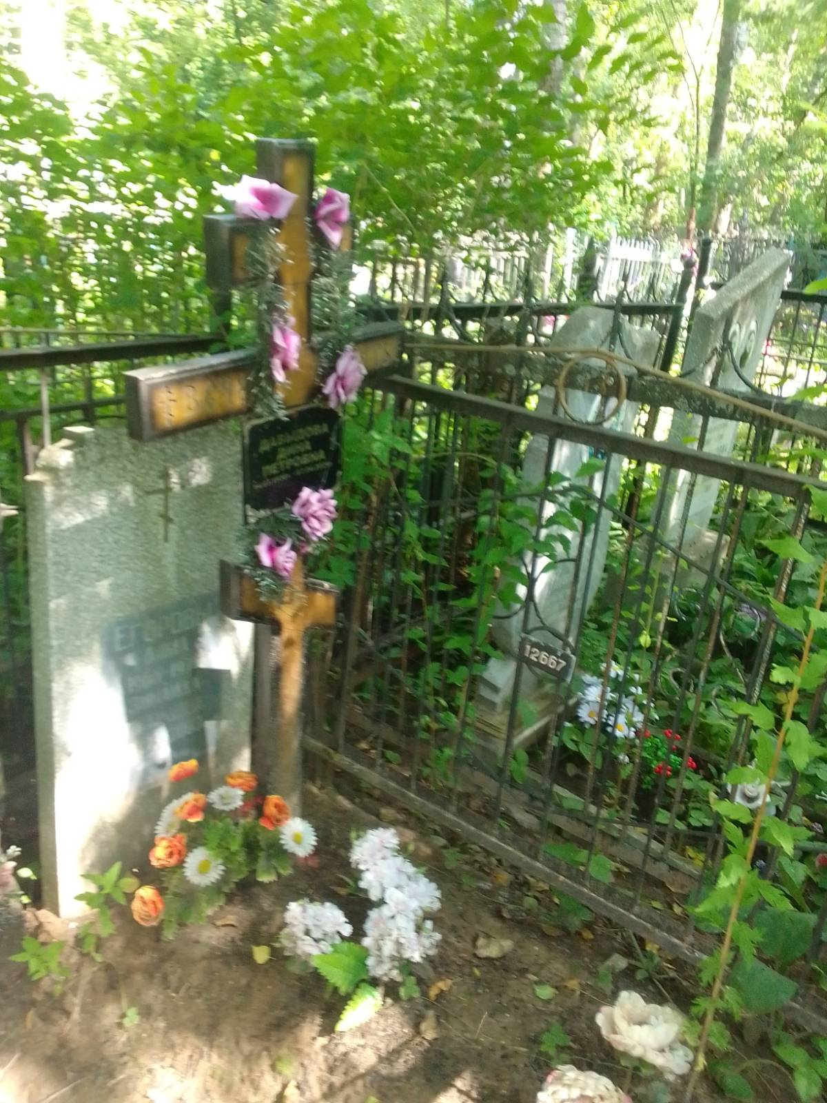 Давылова Дина Петровна