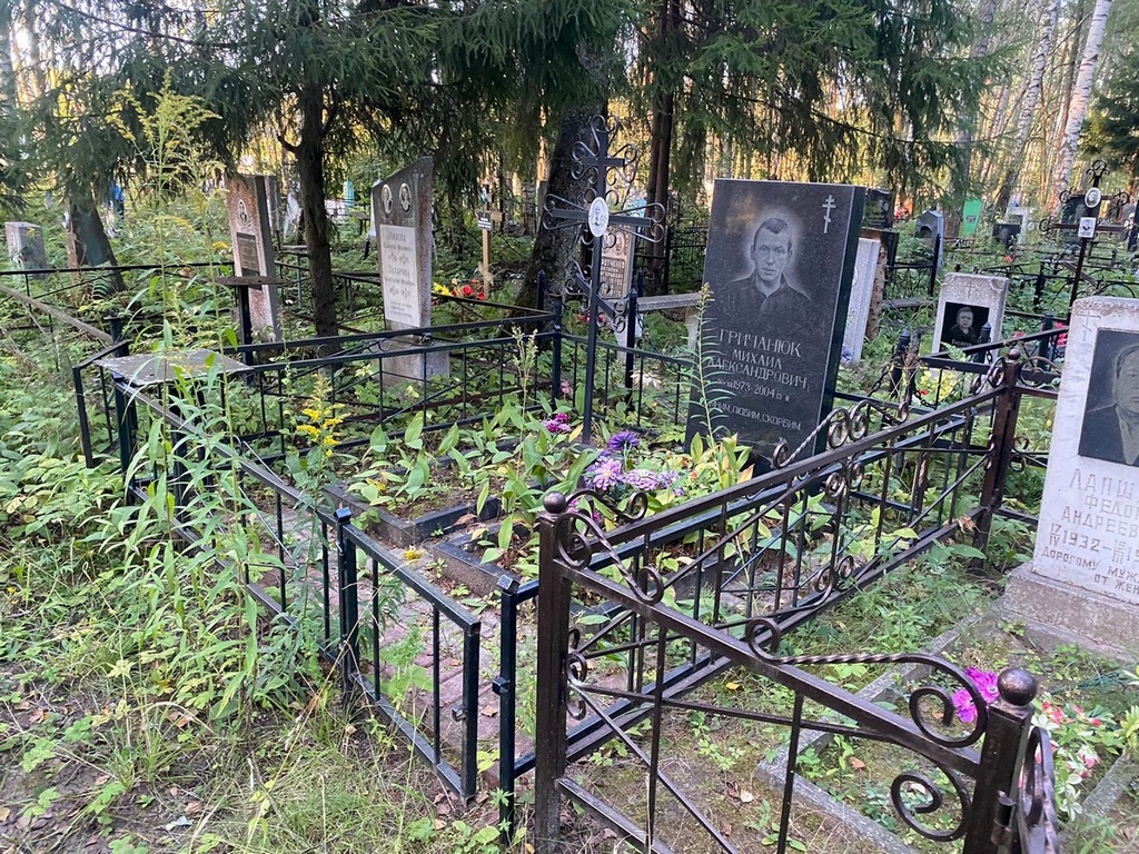 Гричанюк Михаил Александрович