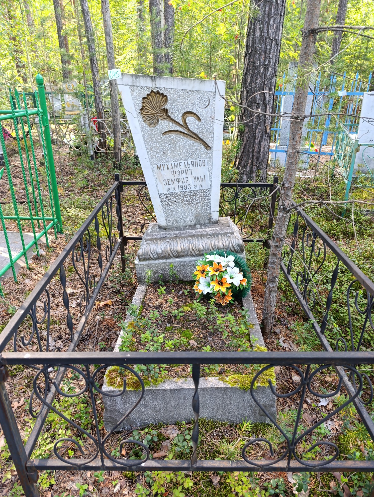Мухамедьянов Фэрит ЗемфирУлы