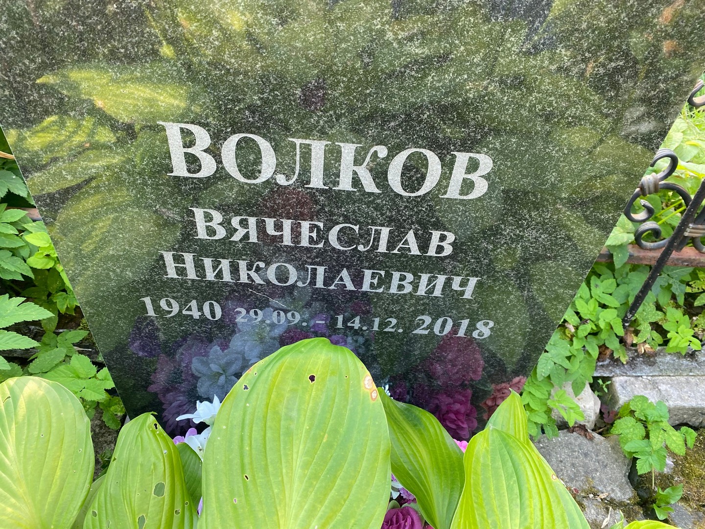 Волков