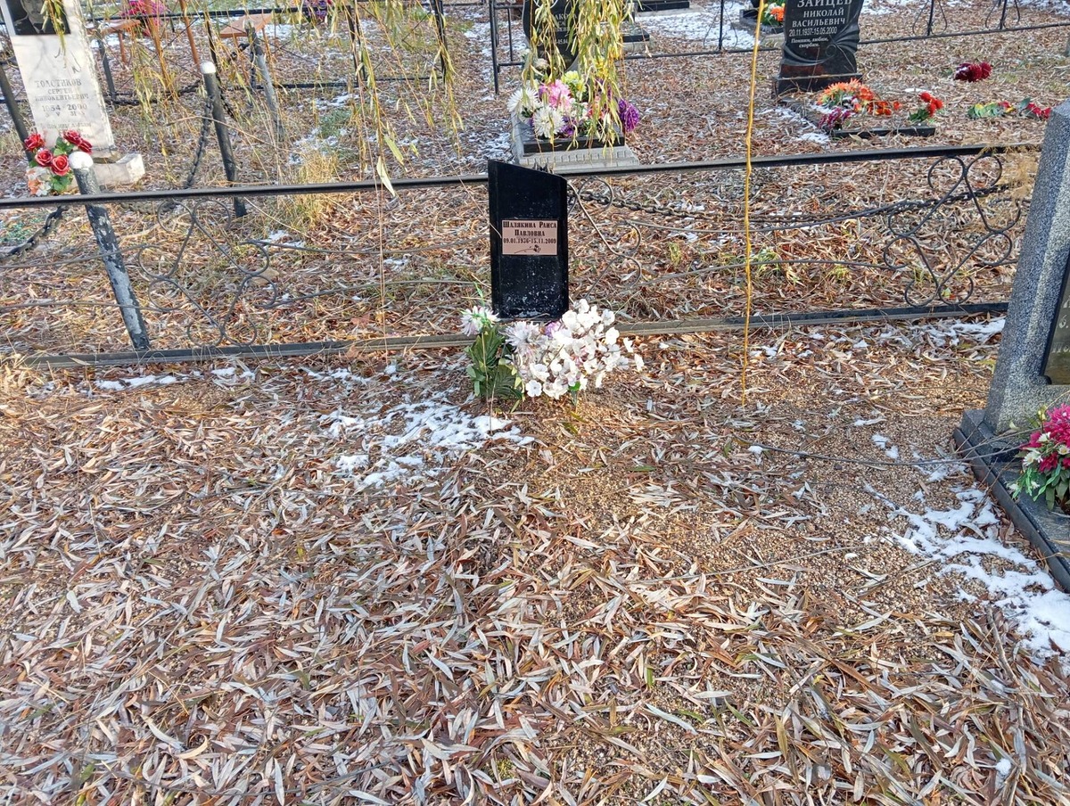 Шалякина Раиса Павловна
