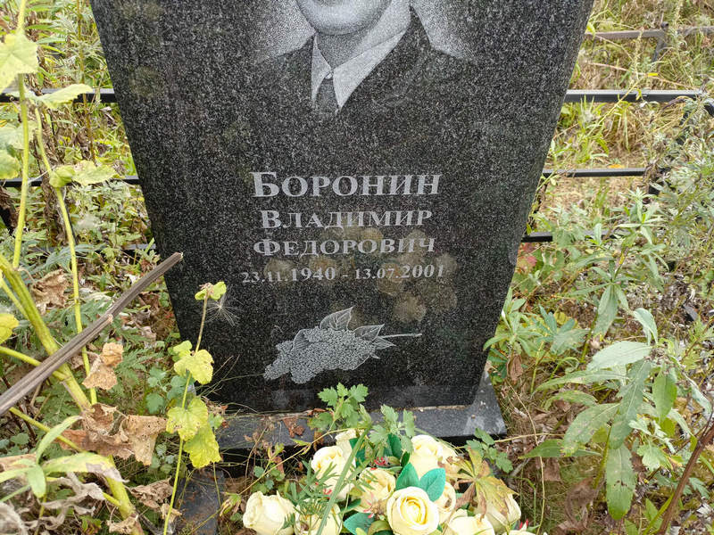 Боронин