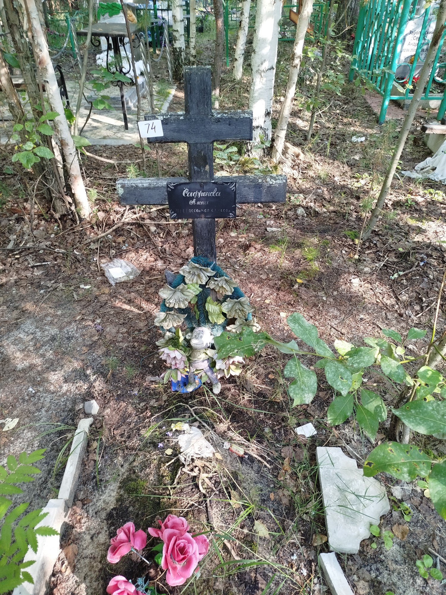 Сафронова Алена