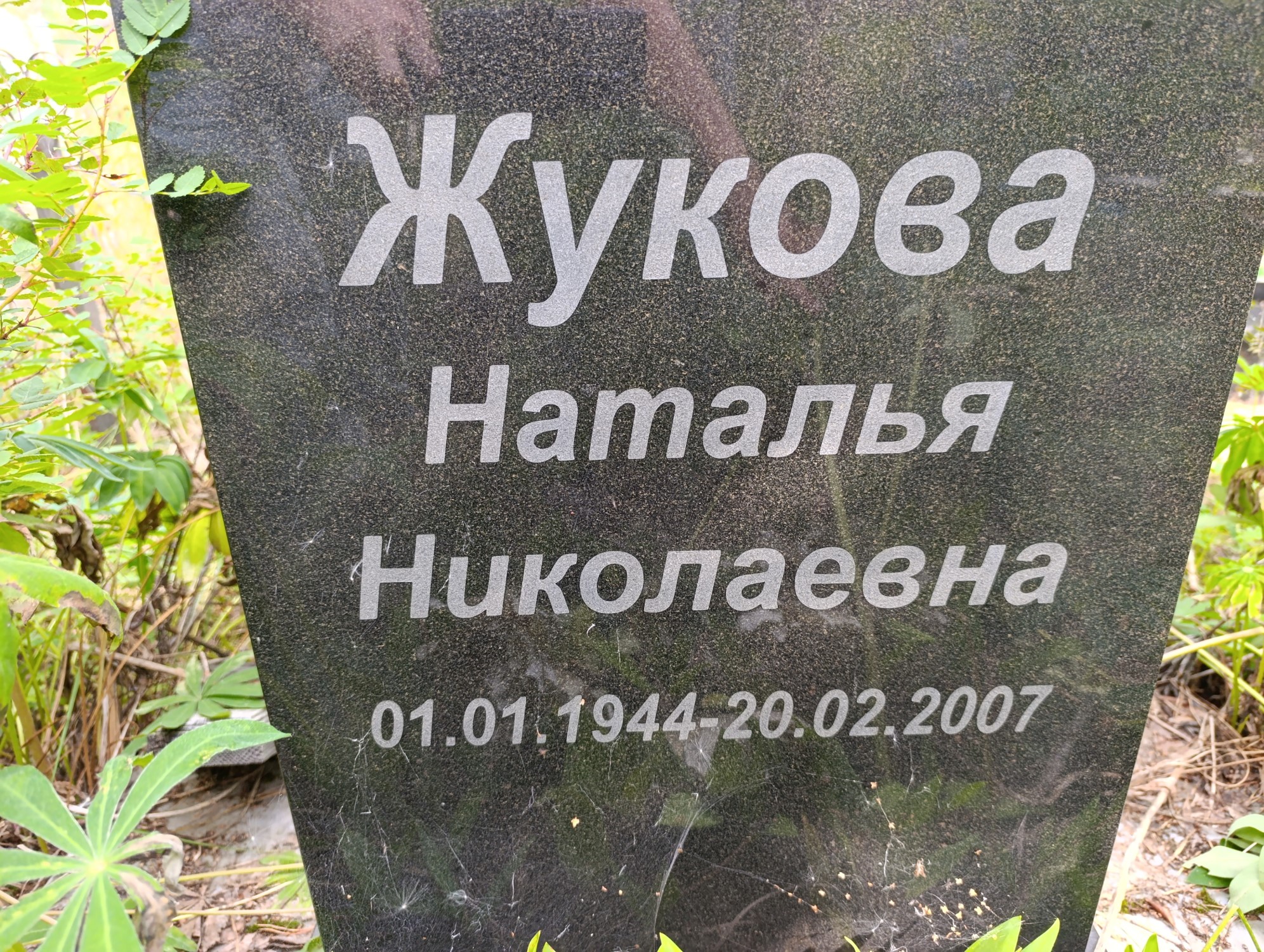 Жукова Наталья Николаевна