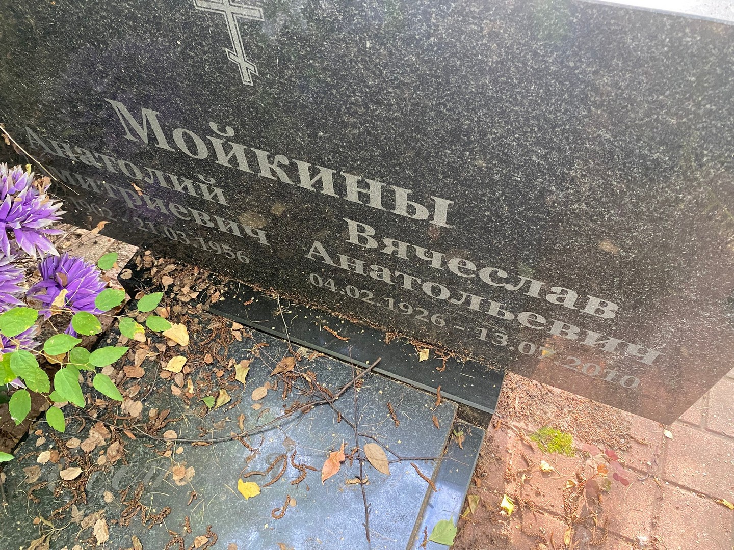 Мойкин