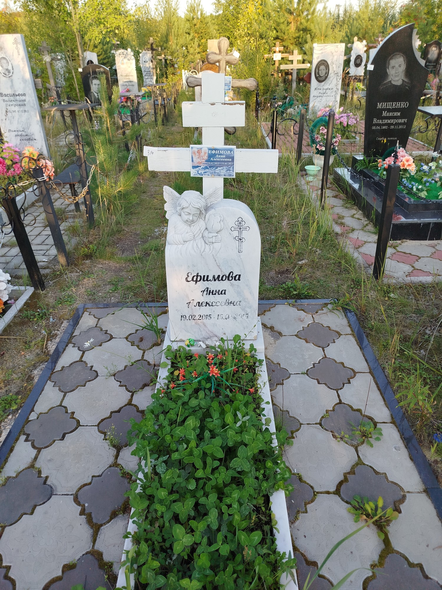 Ефимова Анна Алексеевна