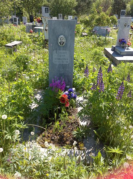 Еськин Пётр Иванович