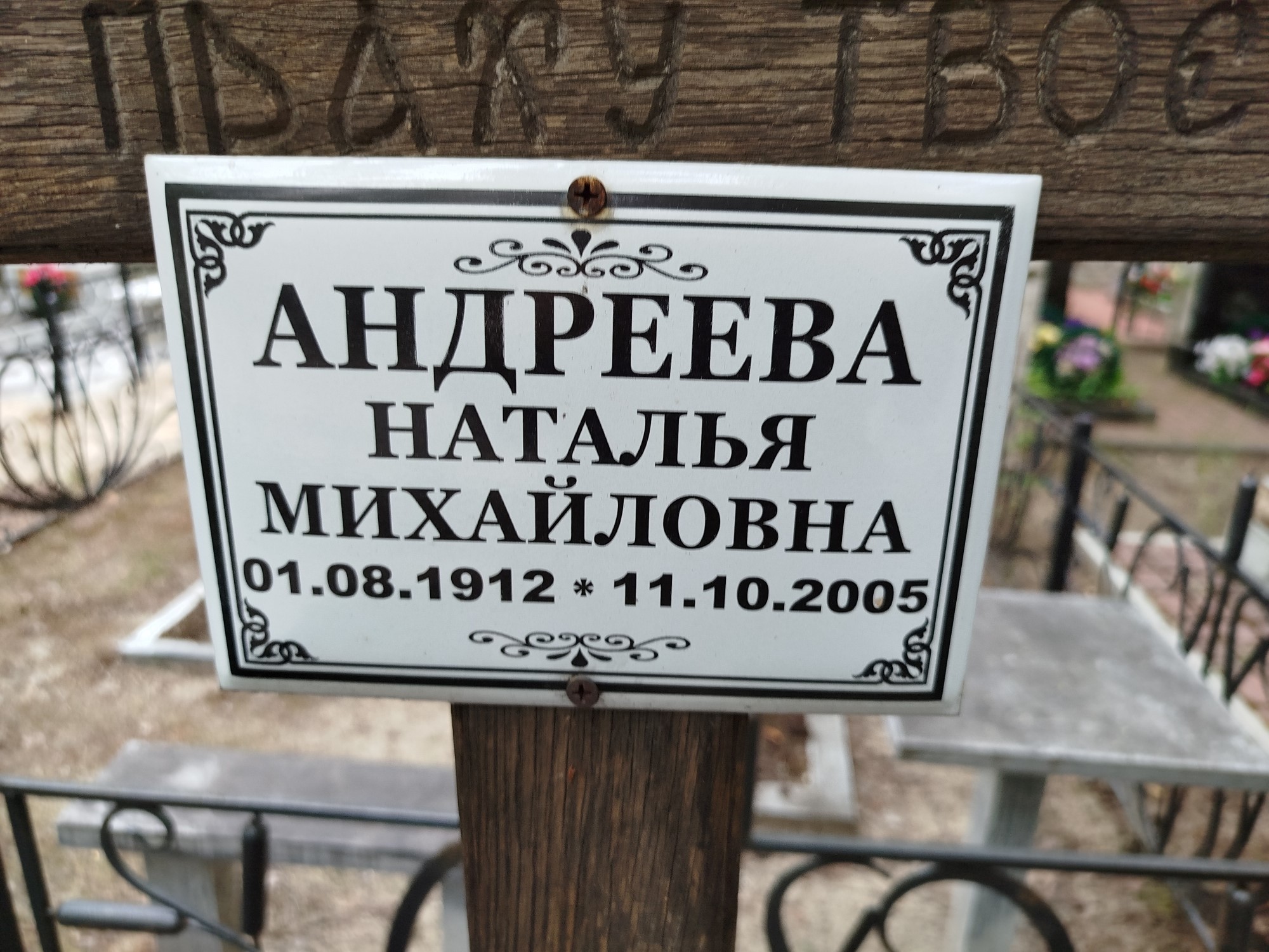 Андреева Наталья Михайловна