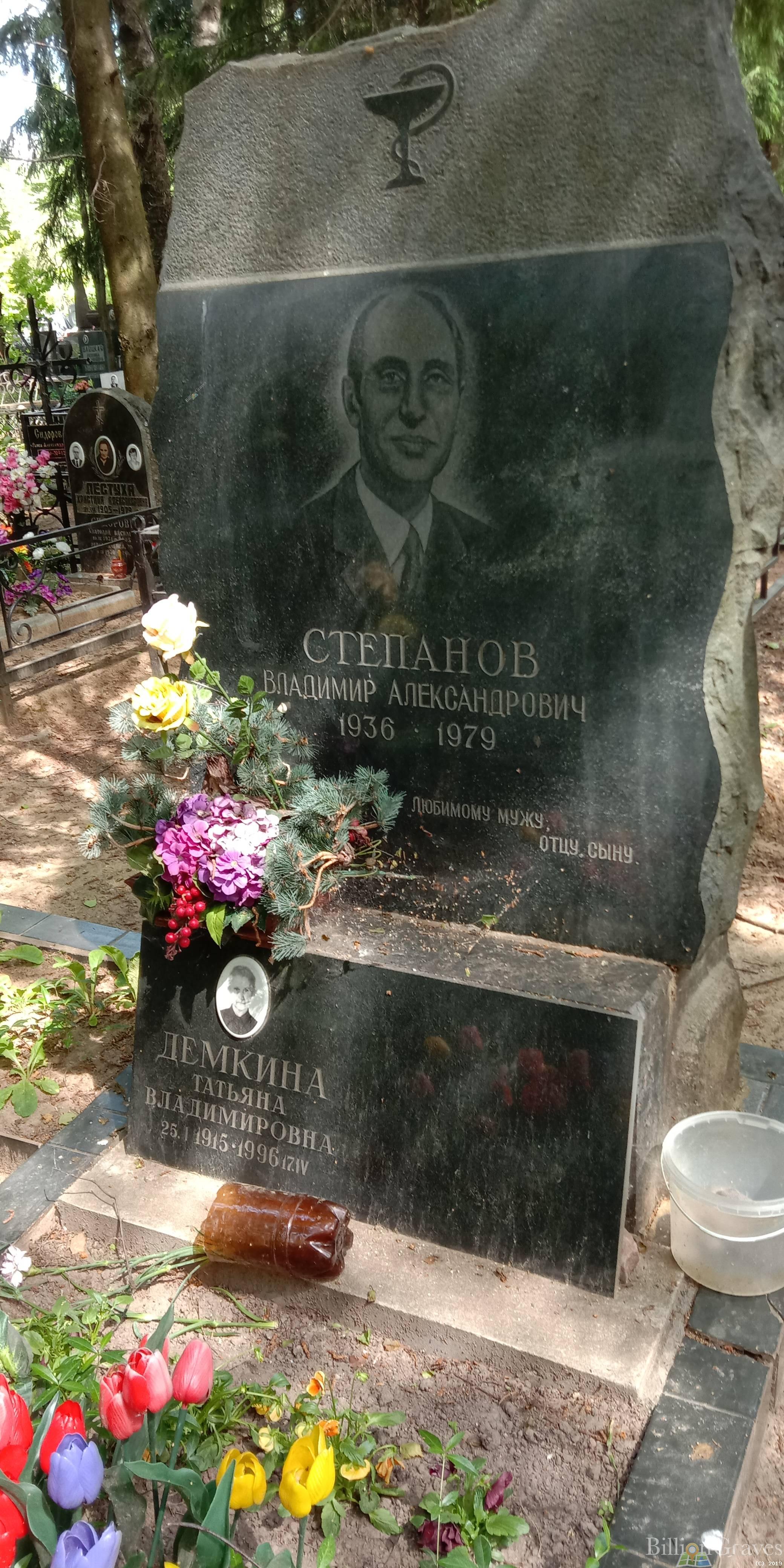 Демкина Татьяна Владимировна