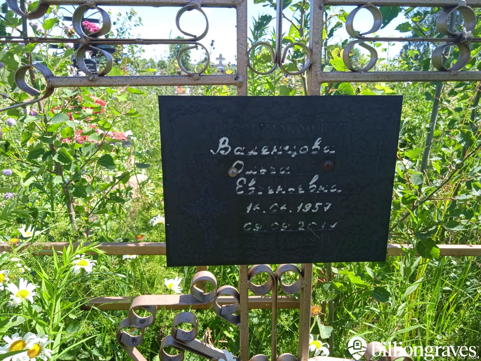 Валенцова Ольга Евгеньевна