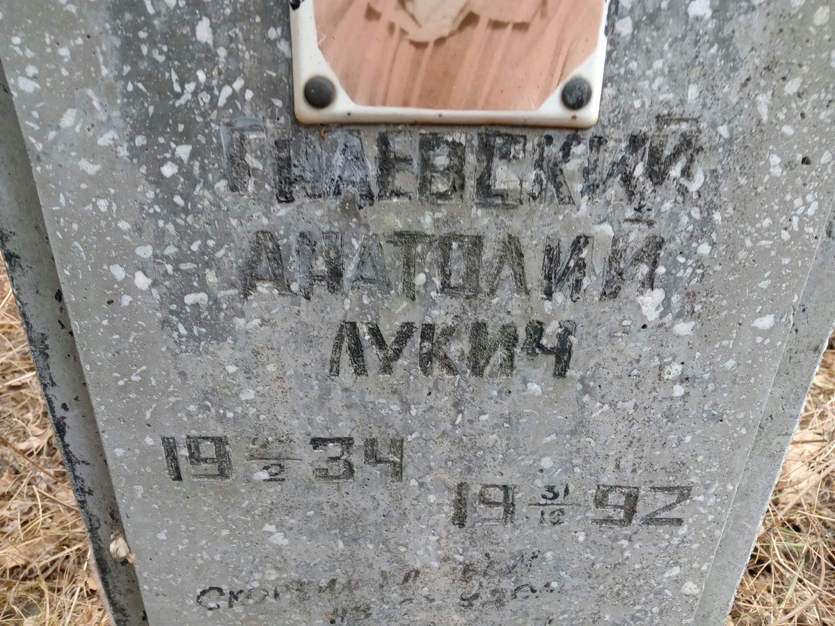 Гнаевский Анатолий Лукич