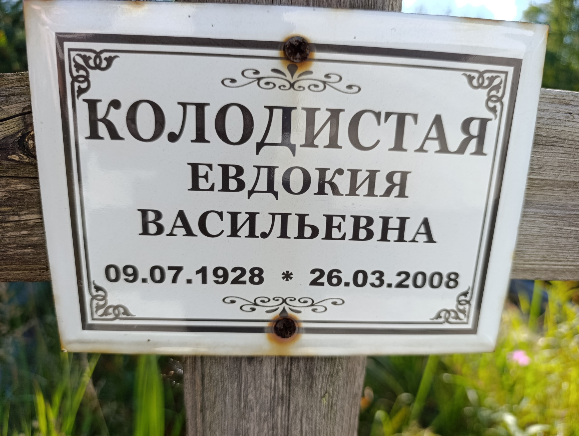Колодистая Евдокия Васильевна