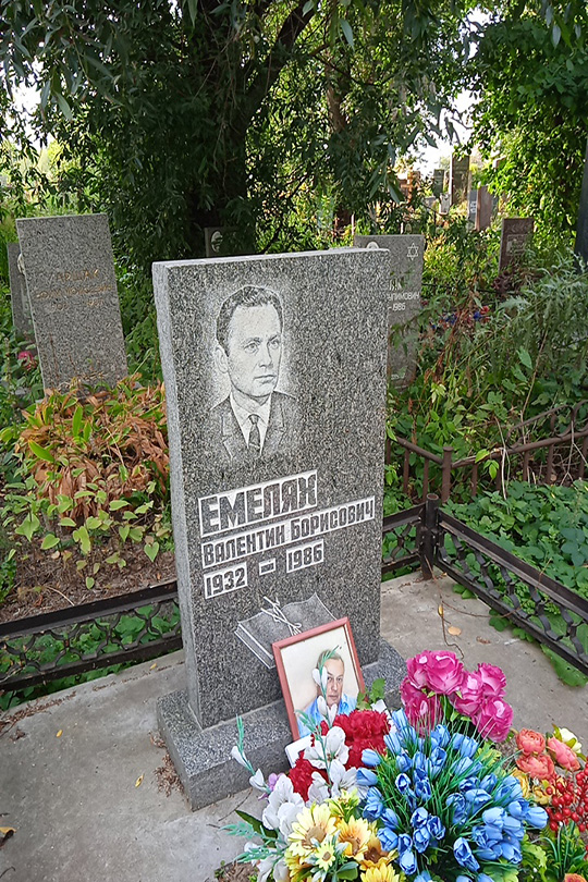 Емелях А. В.