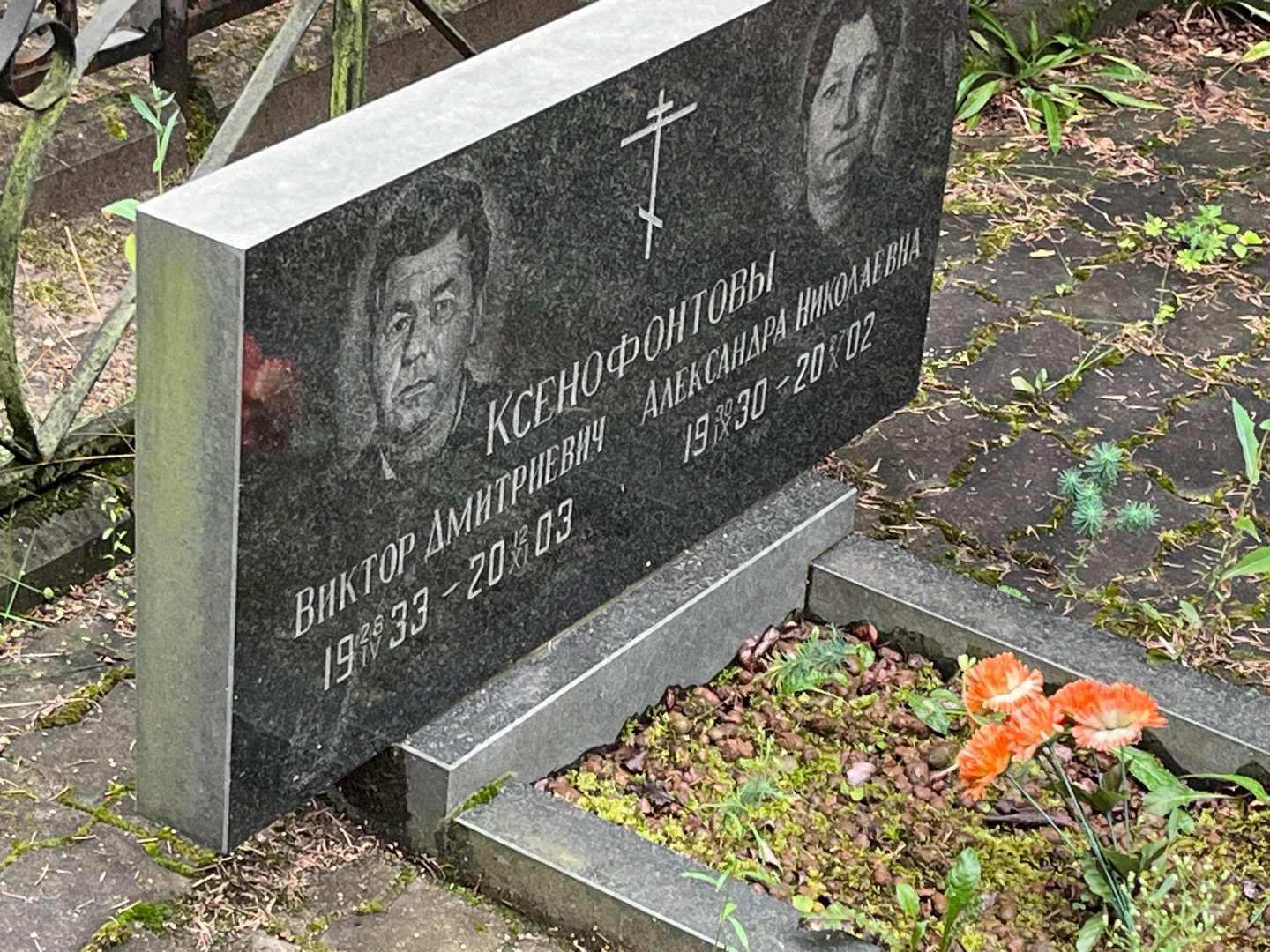 Ксенофонтова Александра Николаевна