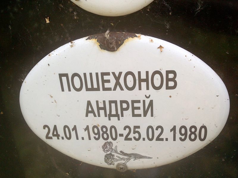 Пошехонов Пошехонов
