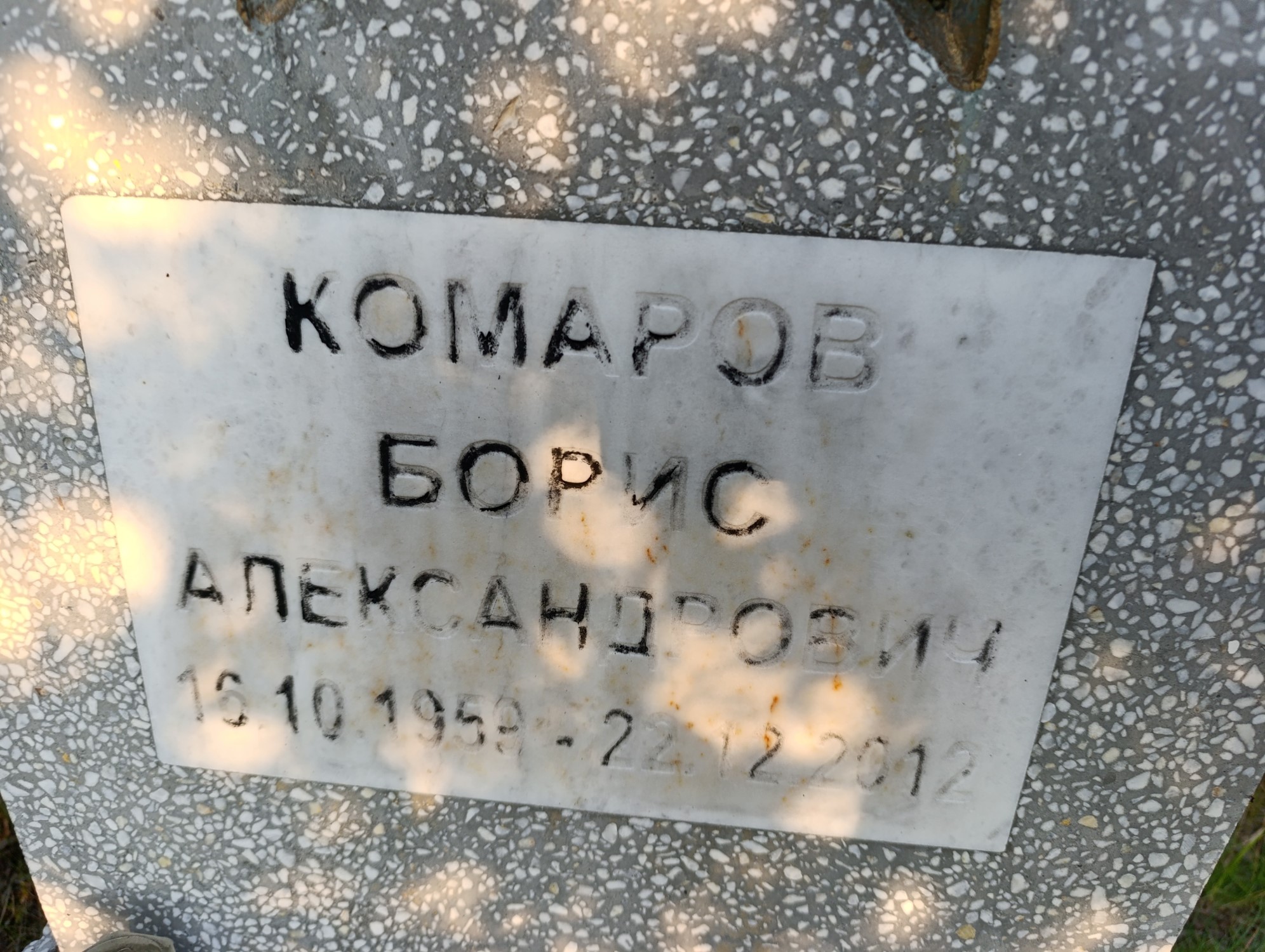 Комаров Борис Александрович