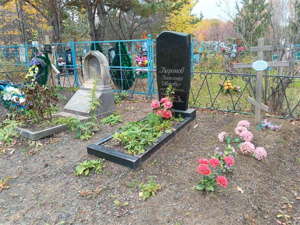 Воронов Александр Иванович