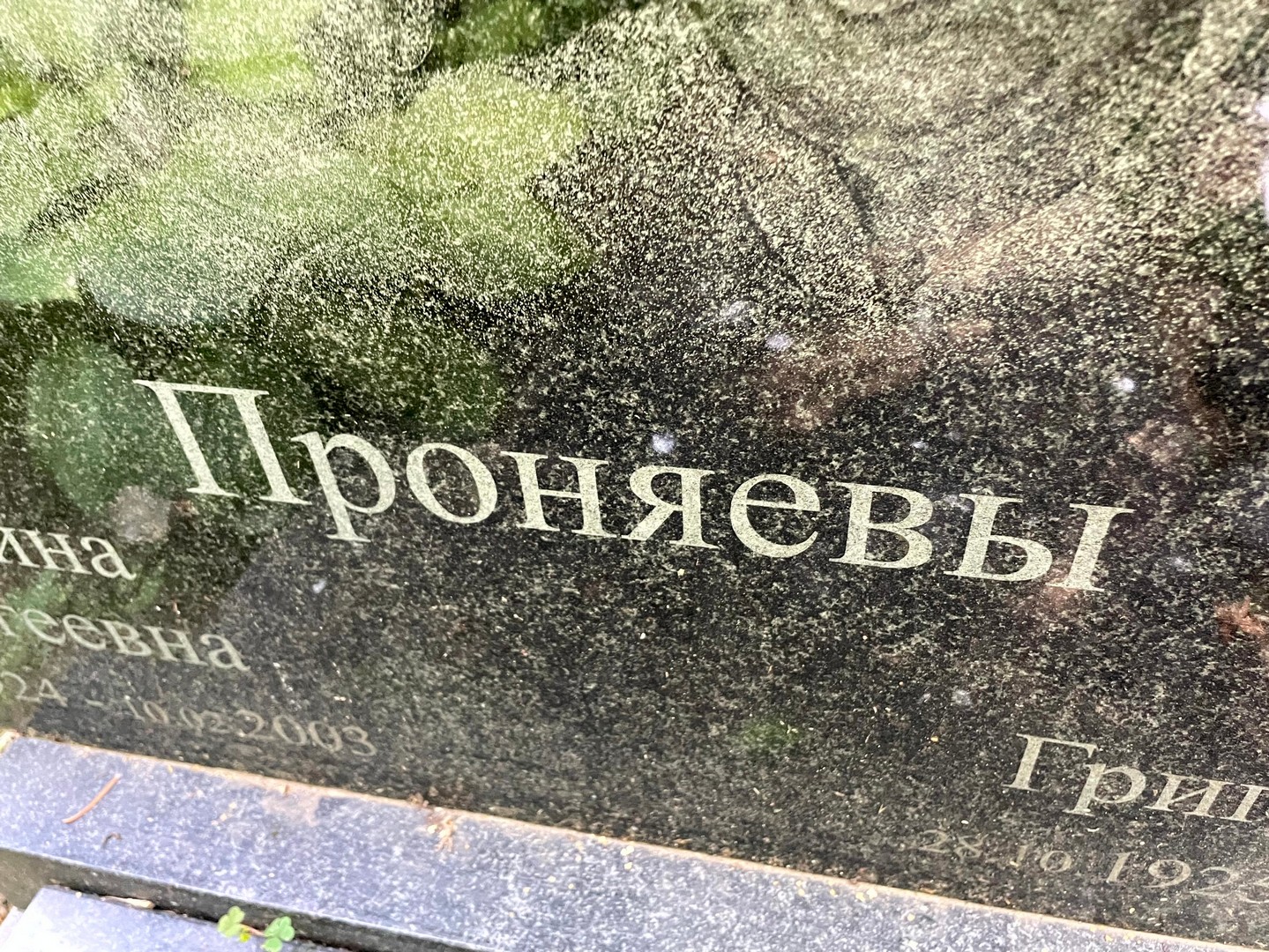 Проняева