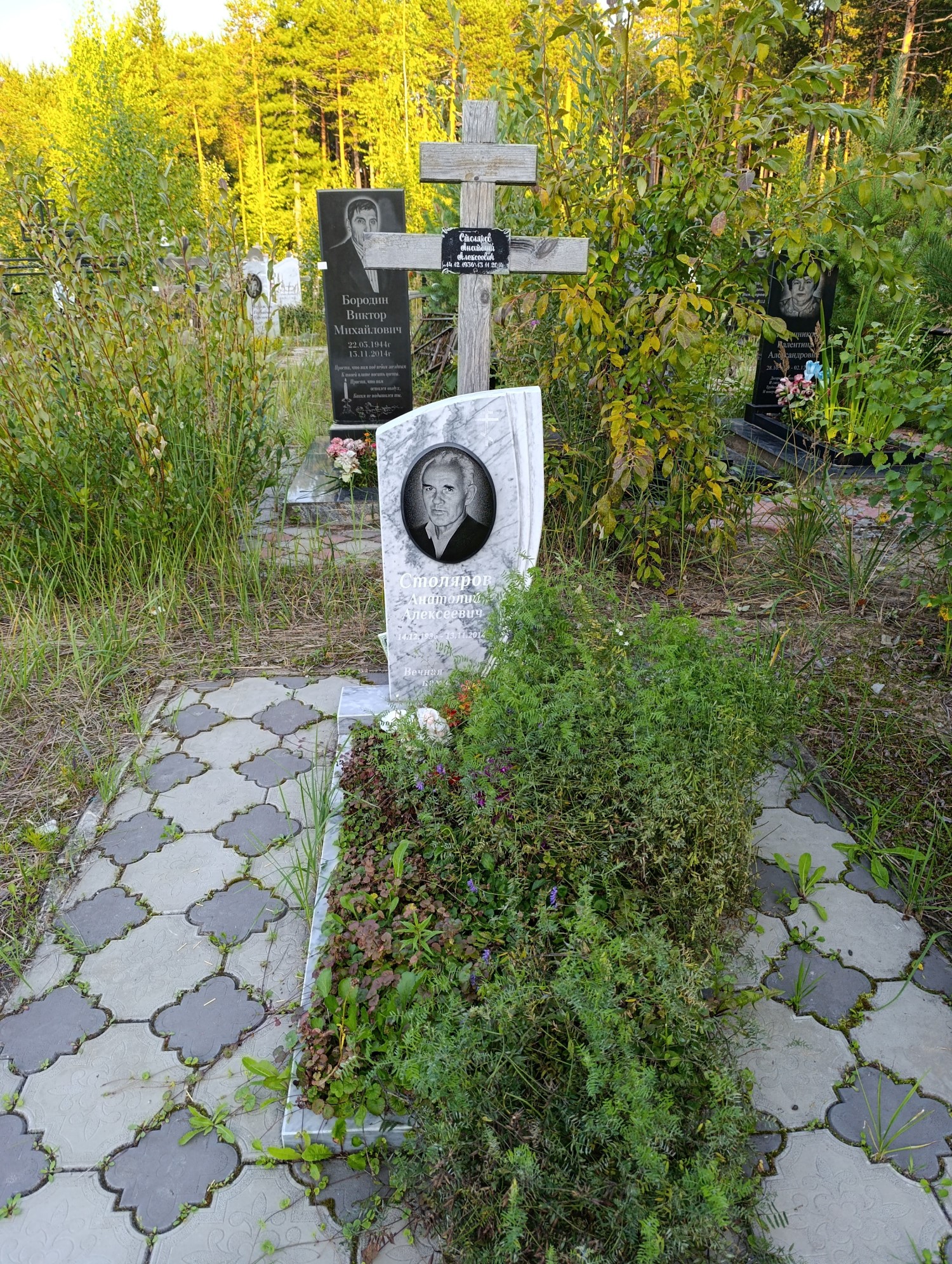 Столяров Анатолий Алексеевич