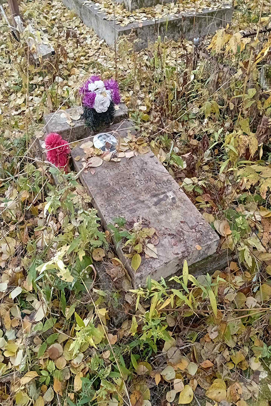 Антонов Владимир Дмитриевич
