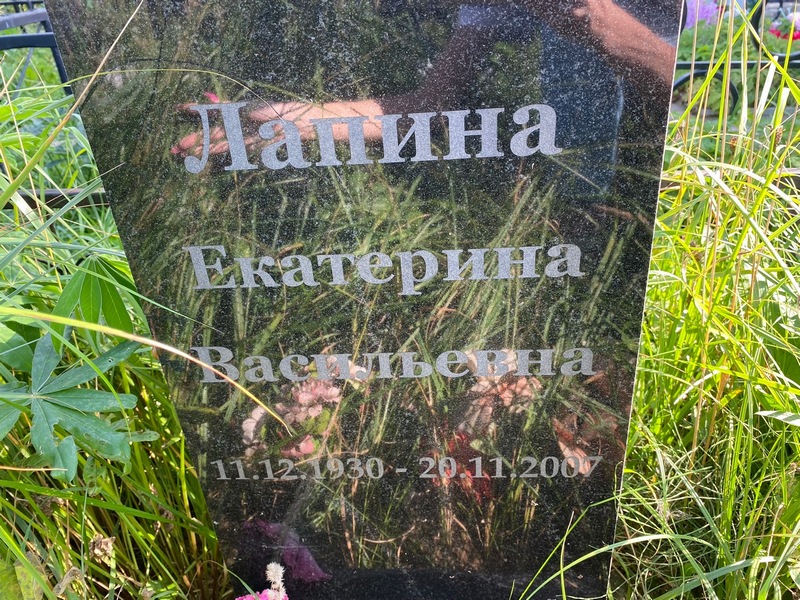 Лапина