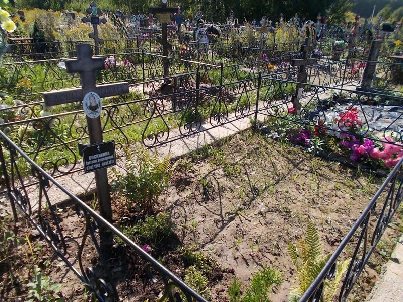 Соснихина Светлана Вячеславовна