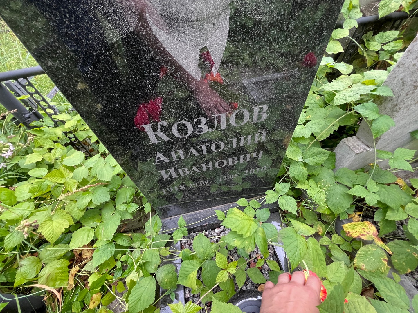 Козлов
