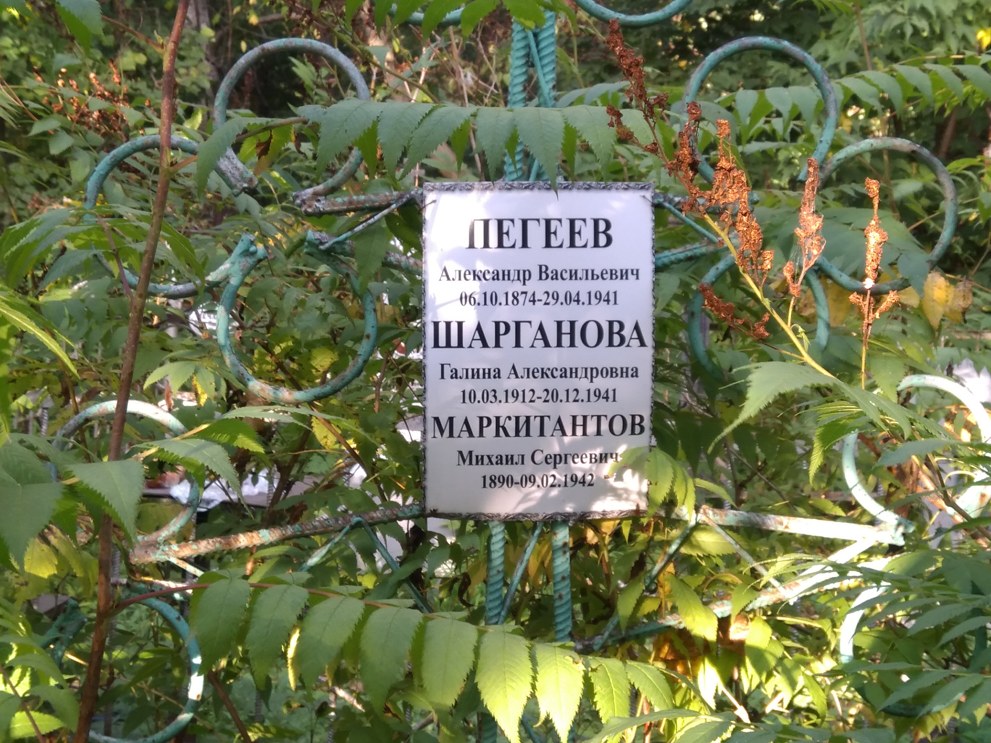 Маркитантов Михаил Сергеевич