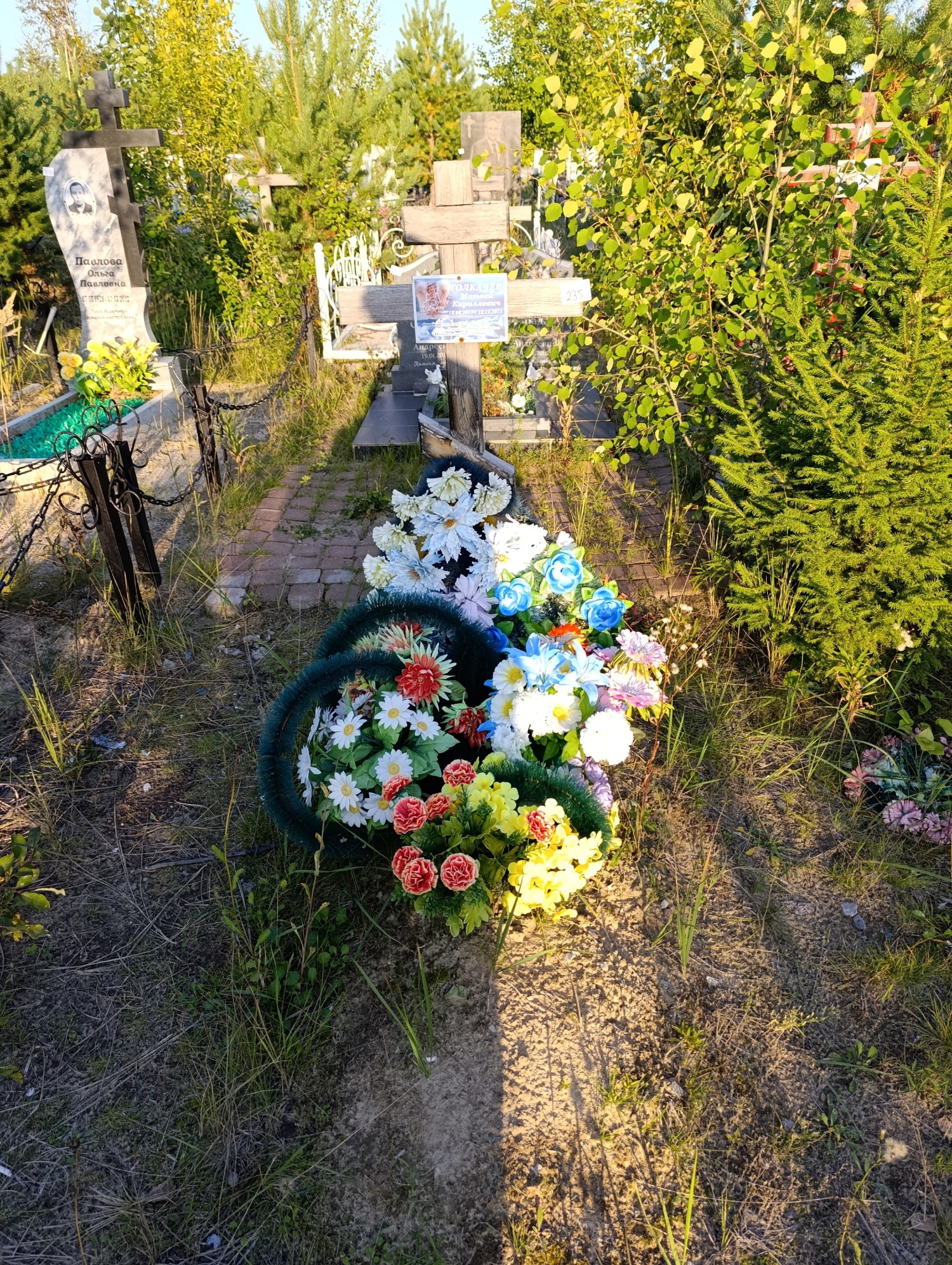 Толкачев Матвей Кириллович
