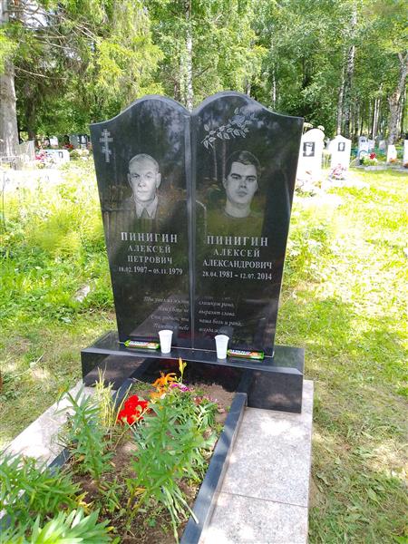 Пинигин Алексей Александрович