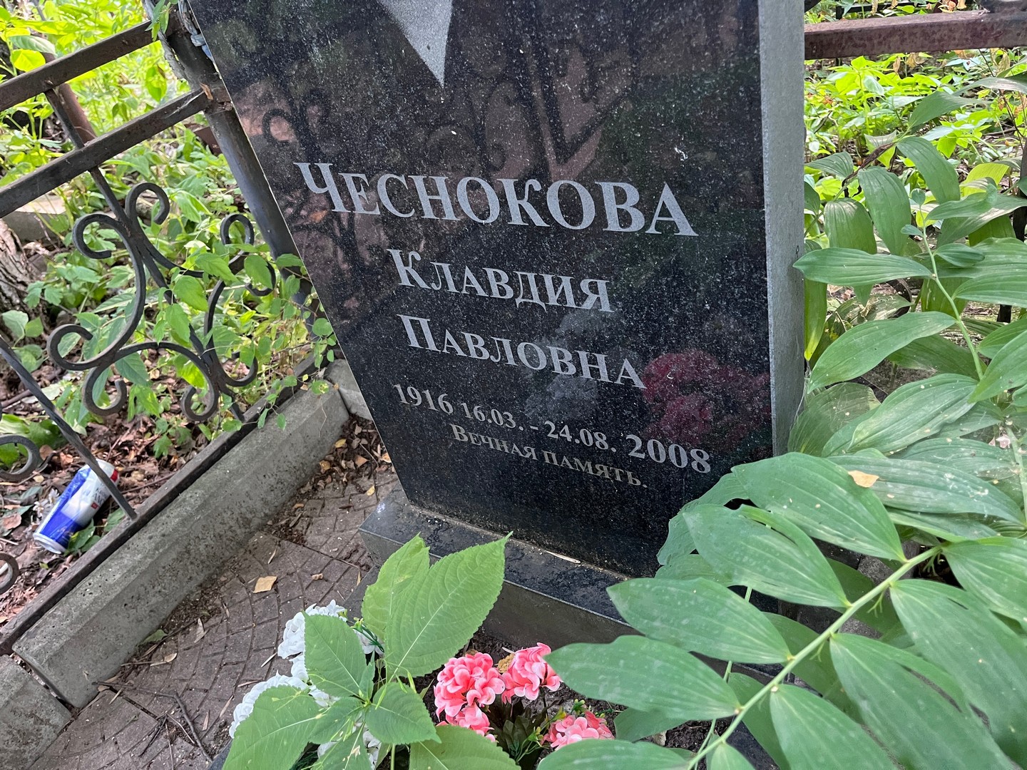 Чеснокова