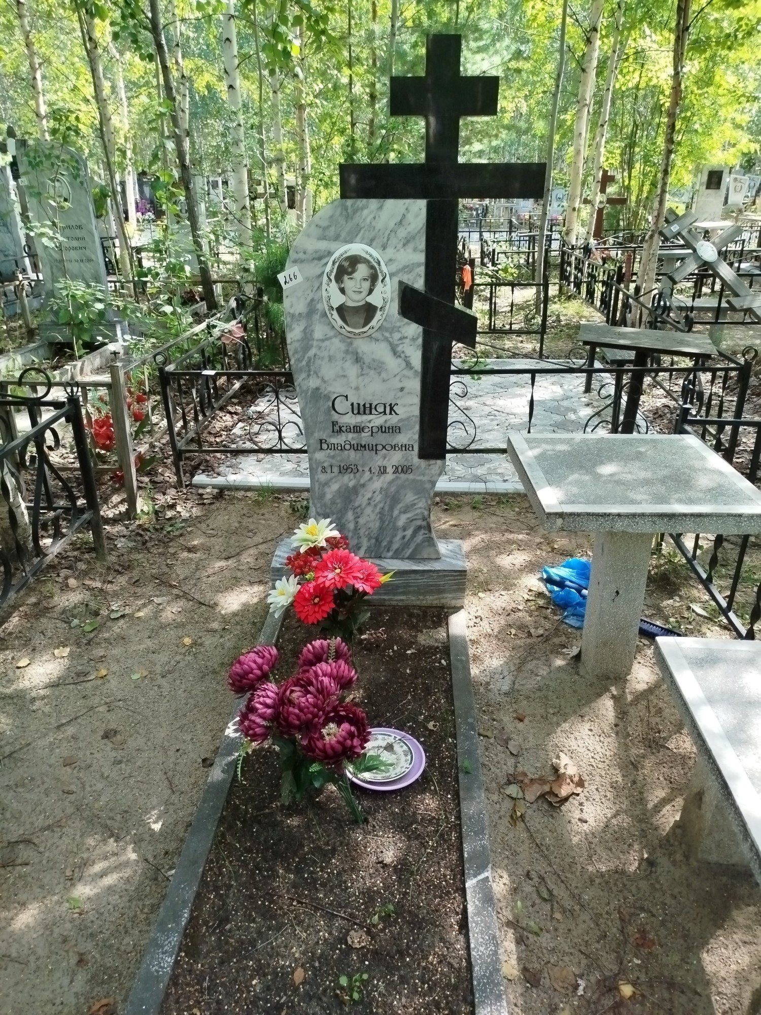 Синяк Екатерина Владимировна