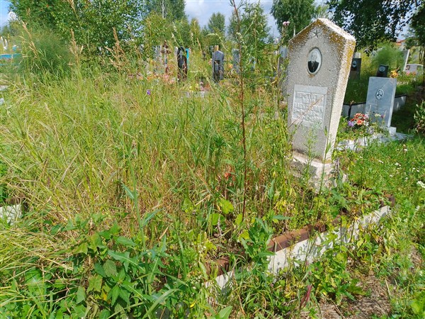 Перетягин Иван Алексеевич