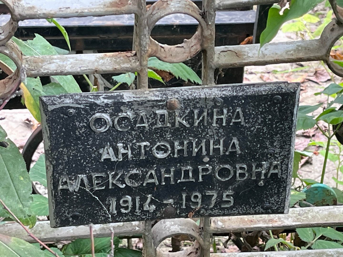 Осадкина Антонина Александровна