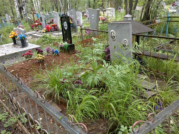 Торопов Михаил Юрьевич
