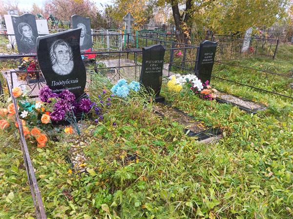 Поддубский Владимир Николаевич